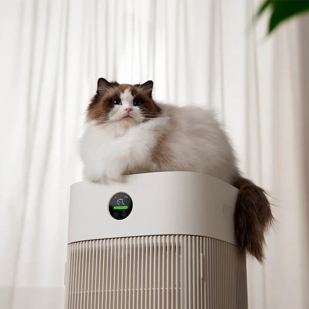 Les poils de chats absorbent r - Hair Care avis et prix